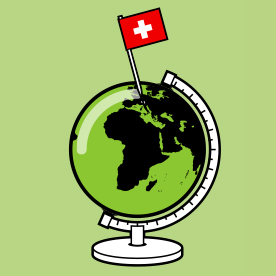 biometrischer pass globus